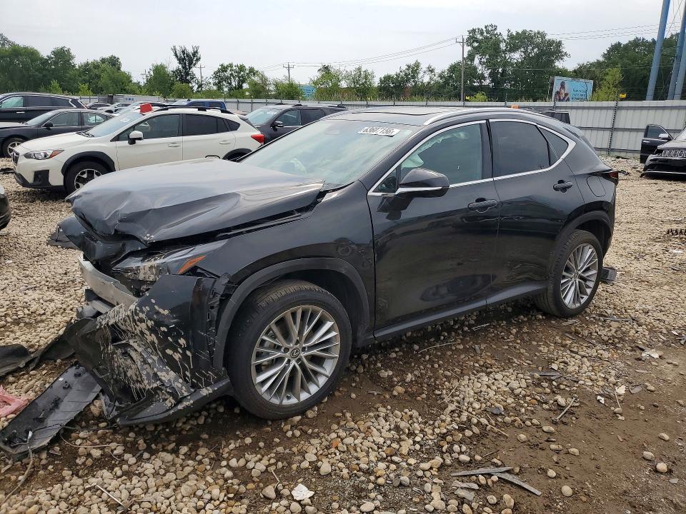 2025 LEXUS NX 350H - Търг №63607156