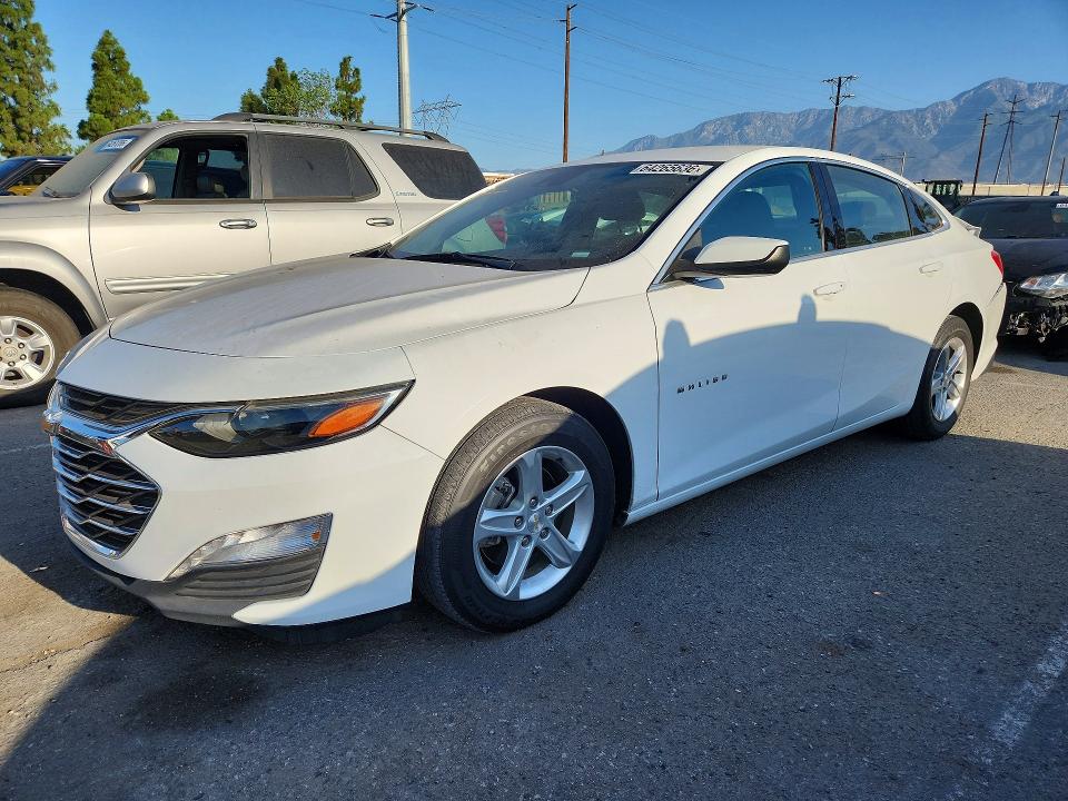 CHEVROLET MALIBU 2024 with VIN 1G1ZD5ST0RF179384 - Photo from auction
