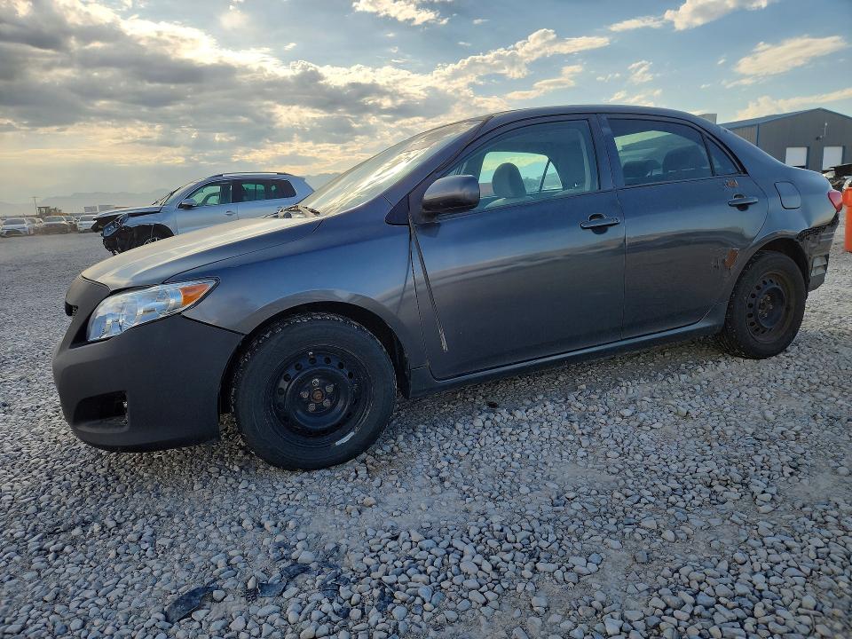 TOYOTA COROLLA 2010 with VIN 2T1BU4EE0AC281829 - Photo from auction