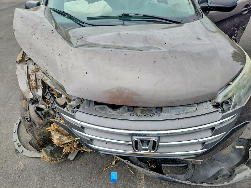 Photo 11 from auction – 2013 HONDA CR-V with VIN 5J6RM4H30DL079489