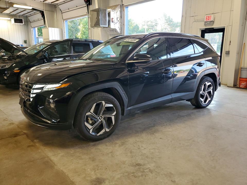 HYUNDAI TUCSON 2024 with VIN KM8JECD19RU202993 - Photo from auction