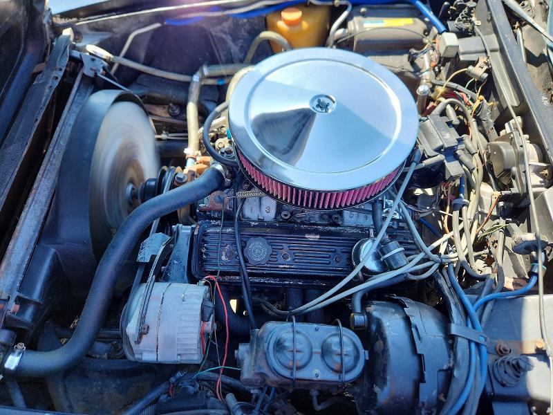 Photo 11 from auction – 1980 CHEVROLET CORVETTE with VIN 1Z878AS433100