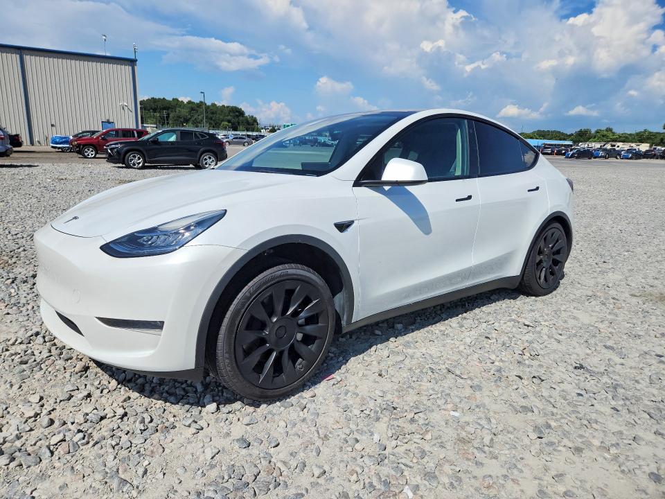 TESLA MODEL Y 2023 with VIN 7SAYGDEE2PA081024 - Photo from auction