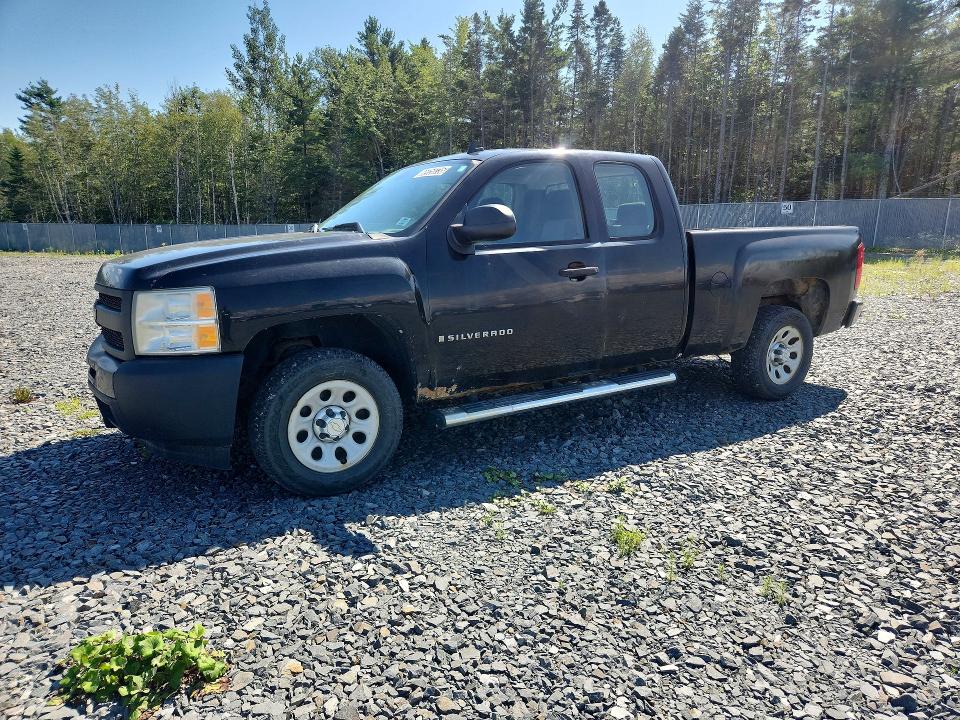 CHEVROLET SILVERADO 2009 with VIN 1GCEC19C69Z244826 - Photo from auction