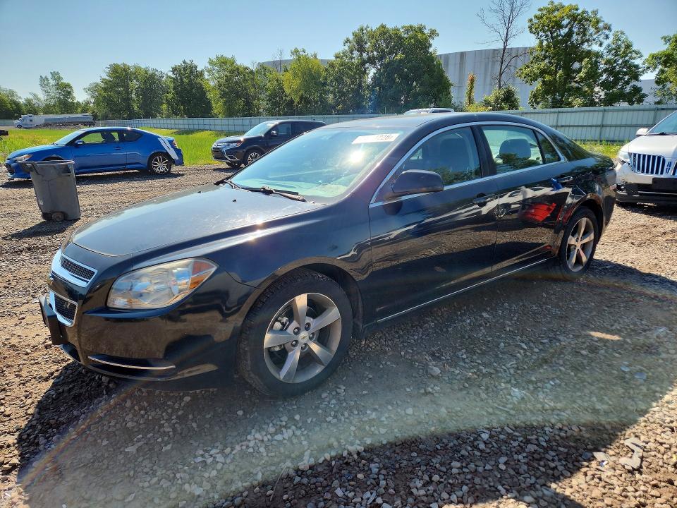 CHEVROLET MALIBU 2011 مع رقم تعريف المركبة 1G1ZC5E13BF317082 - صورة من المزاد