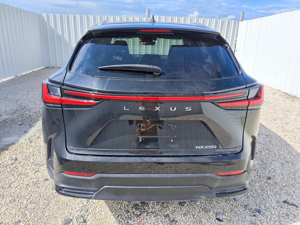 Photo 6 from auction – 2025 LEXUS NX with VIN 2T2GDCAZ1SC025432