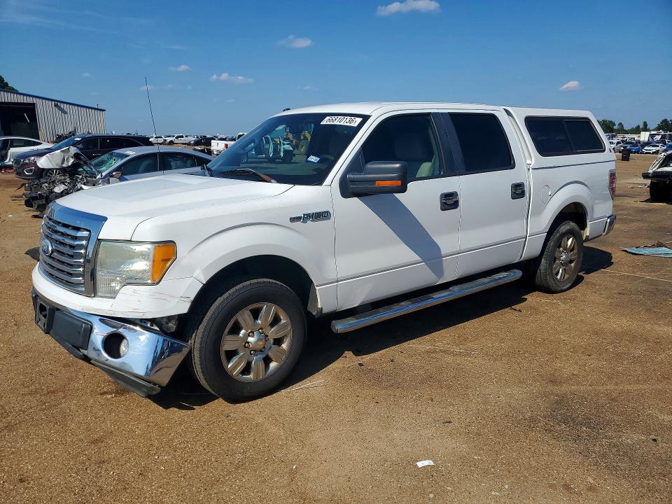 FORD F150 2010 with VIN 1FTEW1C87AFD42877 - Photo from auction