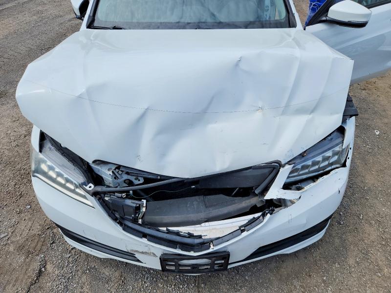 Photo 11 from auction – 2016 ACURA TLX with VIN 19UUB1F52GA800440