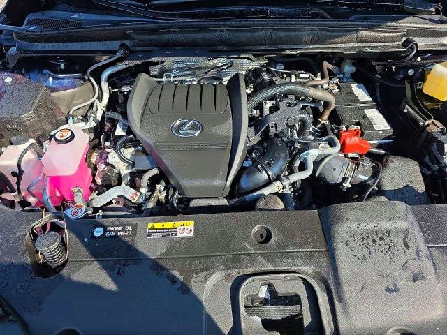 Photo 11 from auction – 2025 LEXUS RX 350 with VIN 2T2BAMCA4SC109342