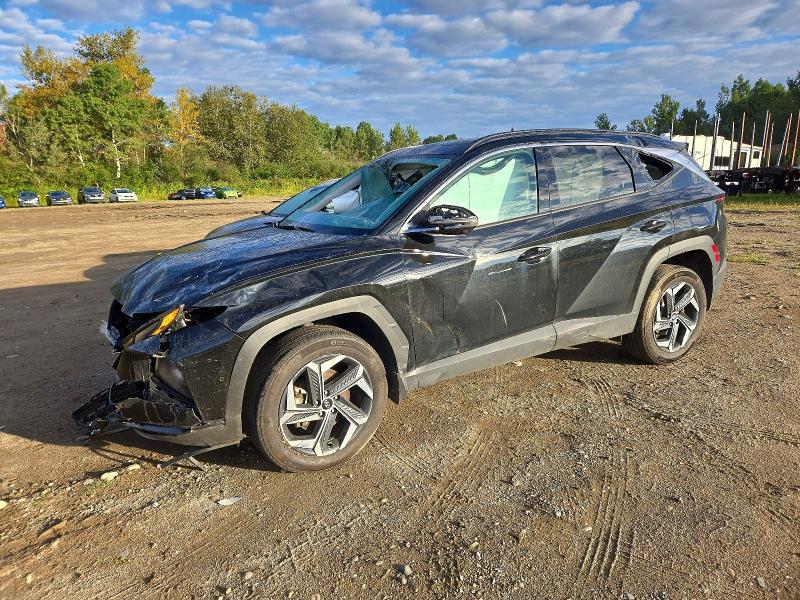 HYUNDAI TUCSON 2024 with VIN KM8JCCD17RU208393 - Photo from auction