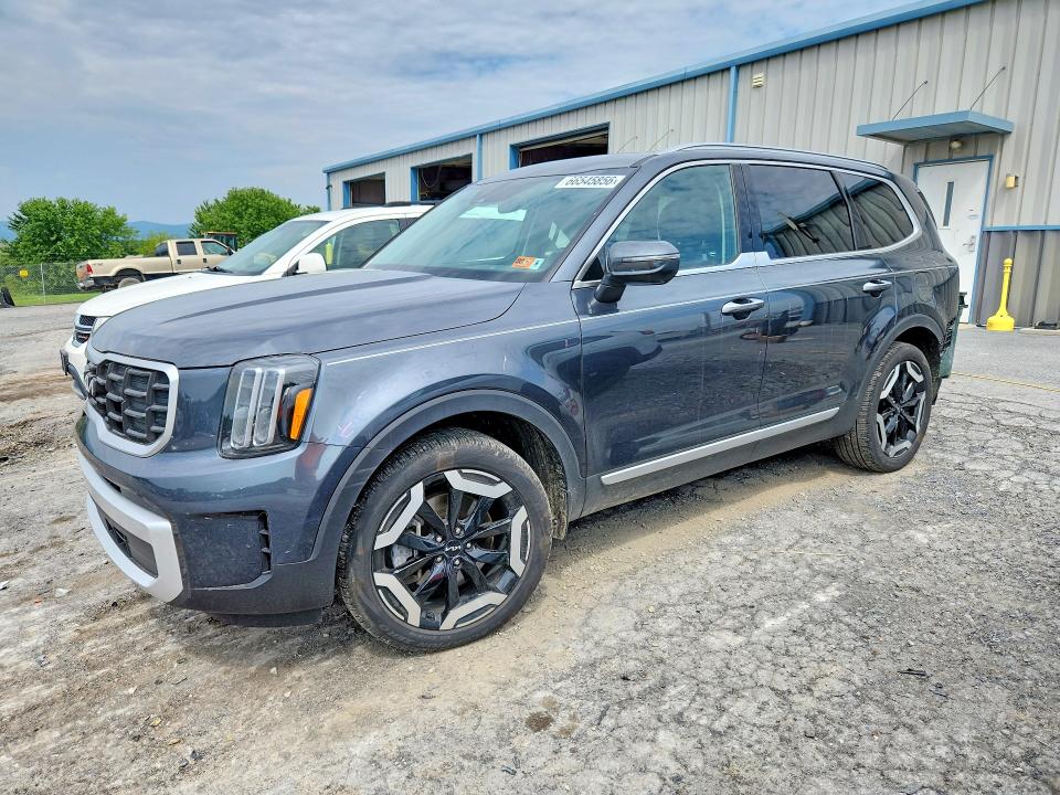 2024 KIA TELLURIDE - Търг №66545856