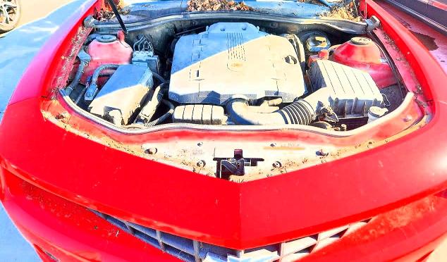 Foto 11 de la subasta – 2010 CHEVROLET CAMARO con VIN 2G1FB1EVXA9217232