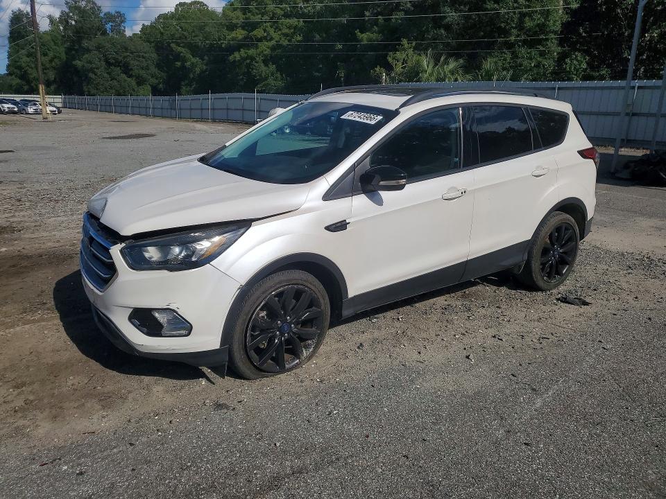 FORD ESCAPE 2017 with VIN 1FMCU0J9XHUB73149 - Photo from auction