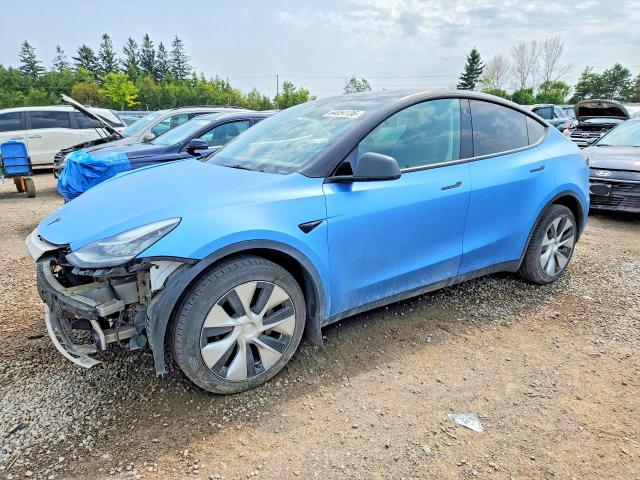 2022 TESLA MDL Y