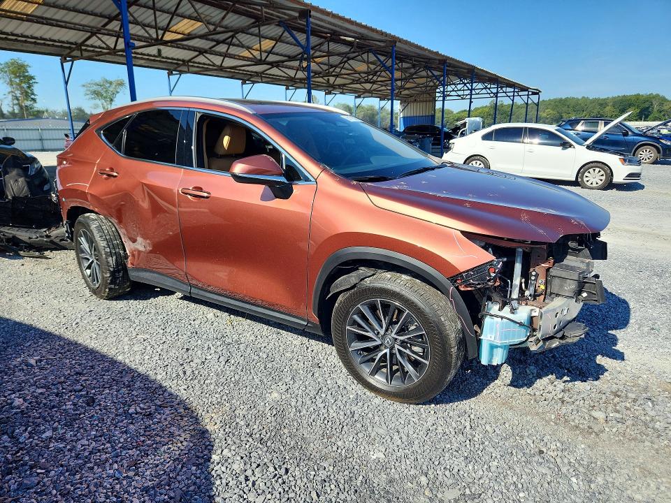 Photo 4 from auction – 2025 LEXUS NX with VIN 2T2GDCAZ2SC020854