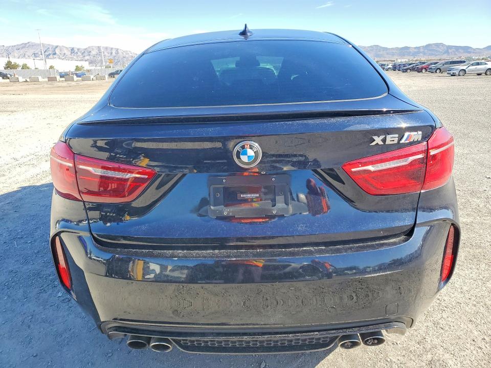 Photo 6 from auction – 2017 BMW X6 with VIN 5YMKW8C3XH0U72379