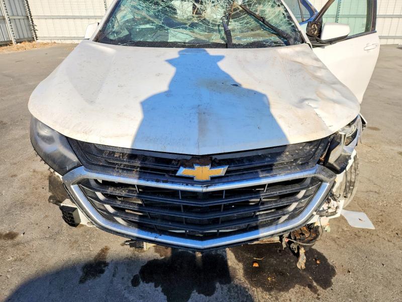 Photo 11 from auction – 2021 CHEVROLET EQUINOX with VIN 3GNAXKEV0MS170851