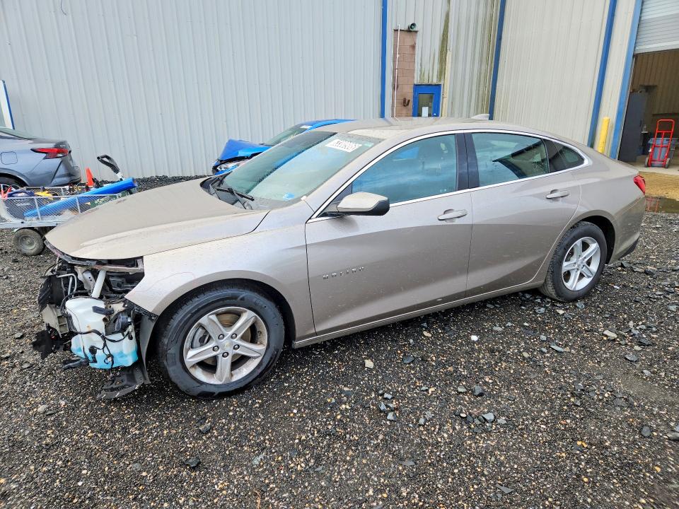 CHEVROLET MALIBU 2023 with VIN 1G1ZD5ST3PF217056 - Photo from auction