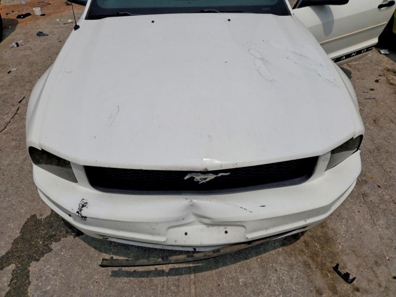 Photo 11 from auction – 2005 FORD MUSTANG with VIN 1ZVFT80N155173755