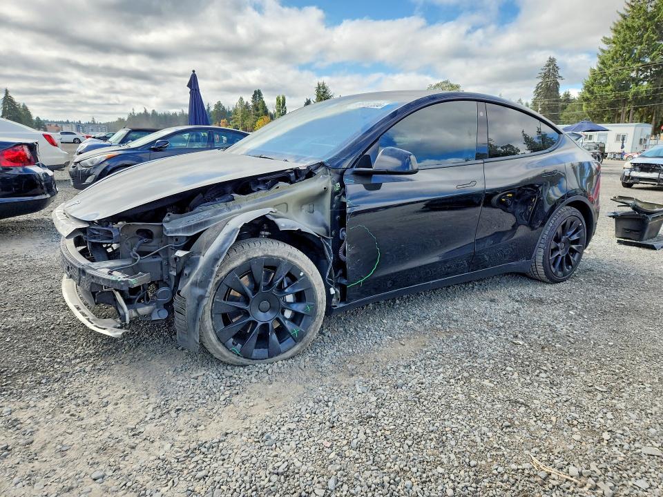 2022 TESLA MODEL Y - Търг №66487596