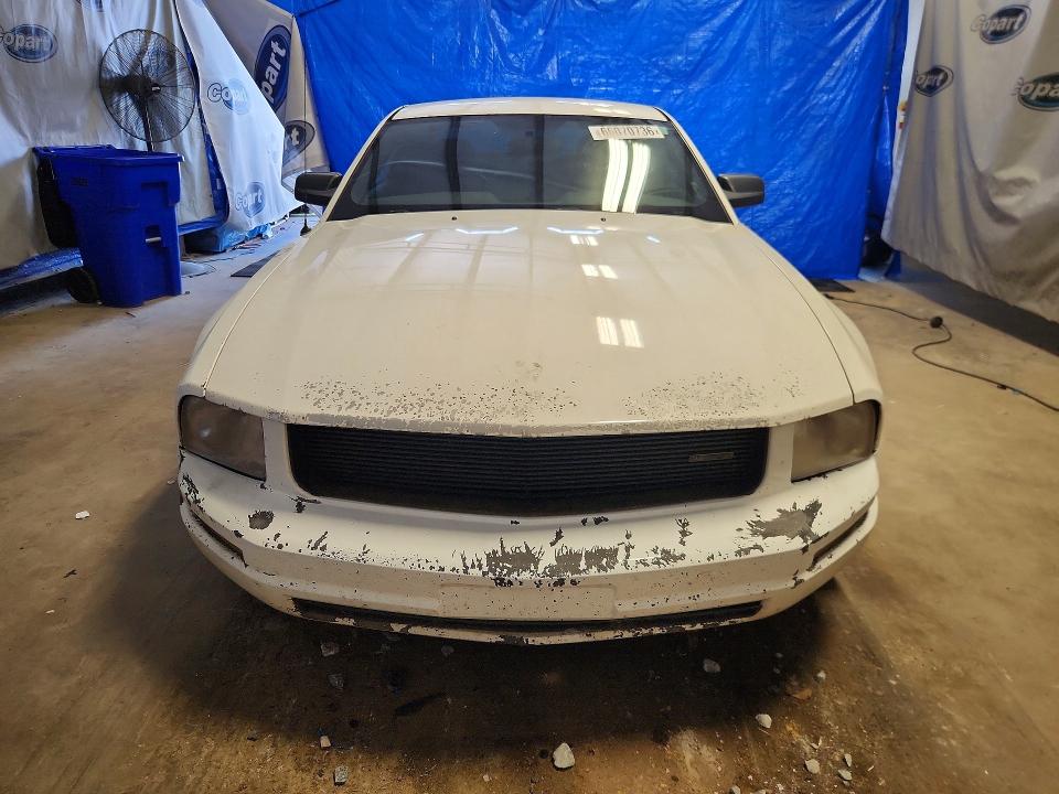 Photo 5 from auction – 2005 FORD MUSTANG with VIN 1ZVFT80N155152369