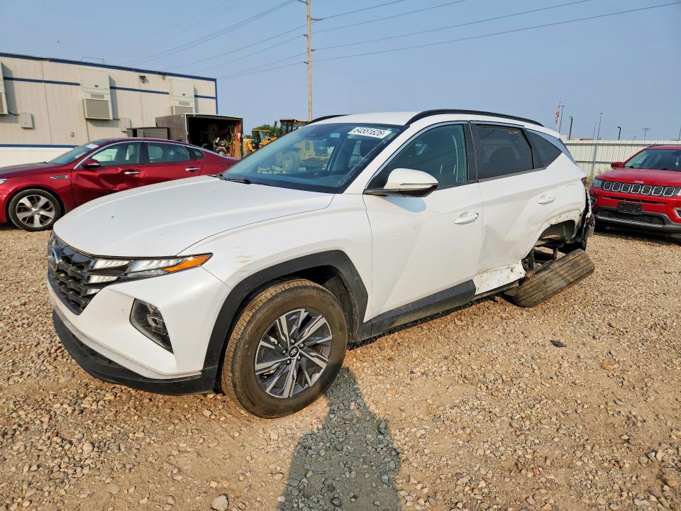 HYUNDAI TUSON 2022 with VIN KM8JBCA14NU051228 - Photo from auction