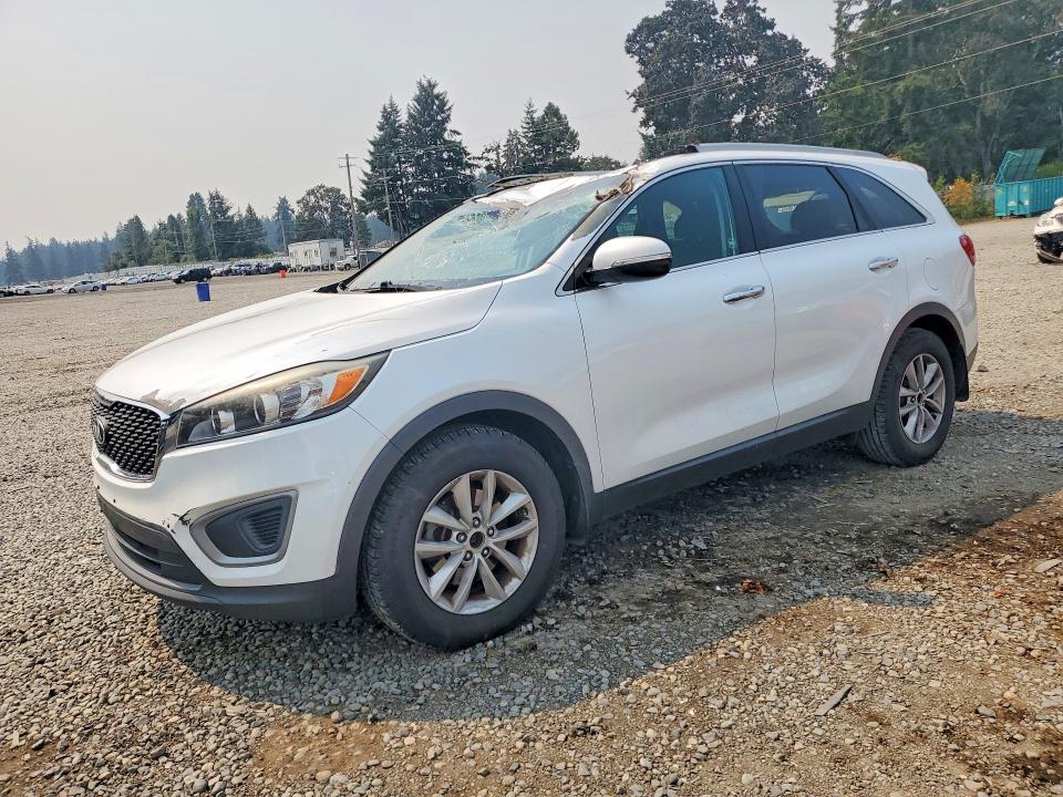 KIA SORENTO 2016 with VIN 5XYPG4A55GG034256 - Photo from auction