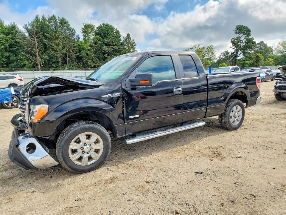 FORD F150 2011 with VIN 1FTFX1CT7BFD03682 - Photo from auction