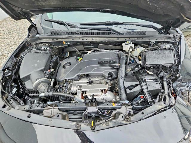 Photo 11 from auction – 2024 CHEVROLET MALIBU with VIN 1G1ZB5ST4RF244839