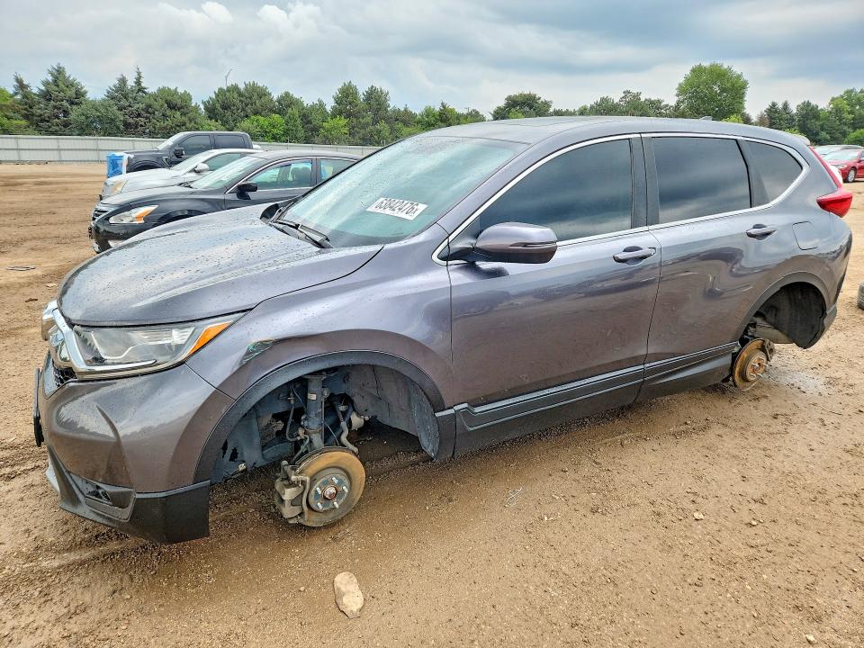 HONDA CR-V 2019 with VIN 5J6RW2H50KA020564 - Photo from auction