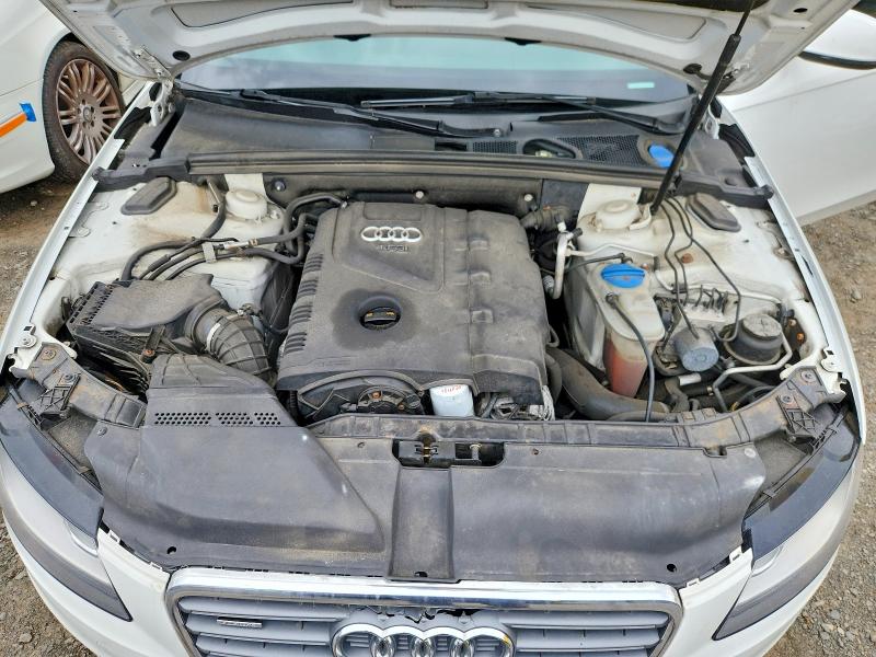 Photo 11 from auction – 2010 AUDI A4 with VIN WAUBFAFL5AN035682