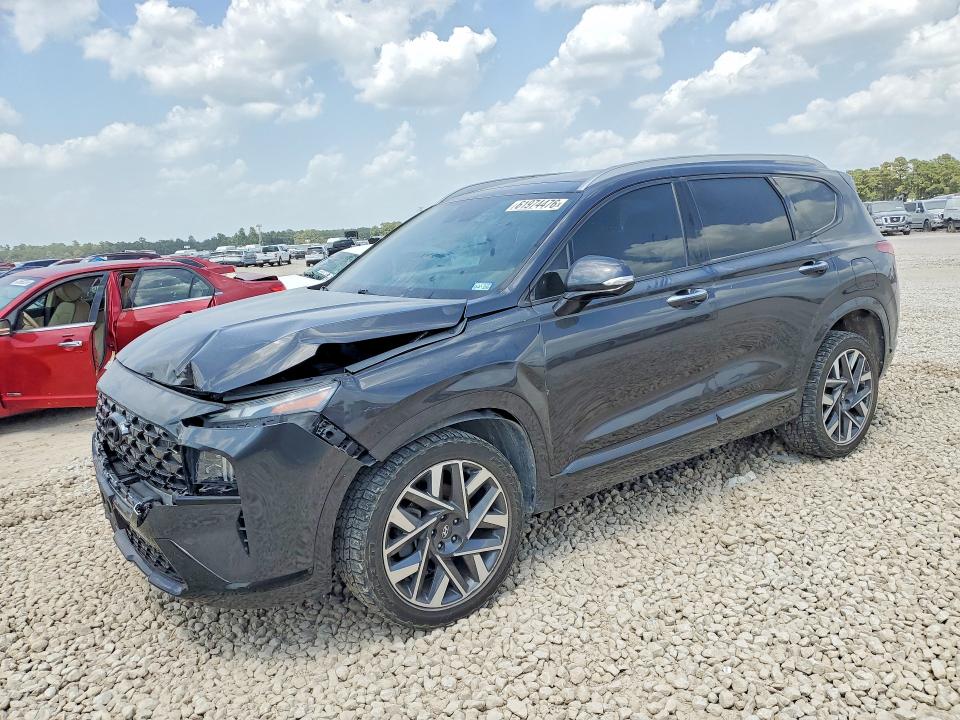 HYUNDAI SANTA FE 2021 with VIN 5NMS5DAL6MH364455 - Photo from auction