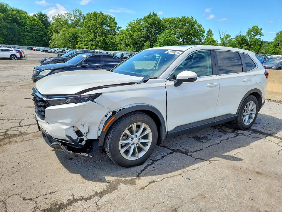 HONDA CR-V 2024 with VIN 7FARS4H77RE019366 - Photo from auction