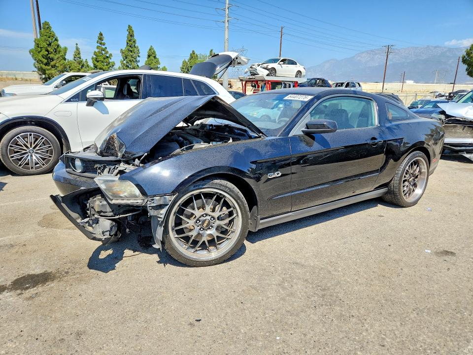 FORD MUSTANG 2011 with VIN 1ZVBP8CF0B5157565 - Photo from auction