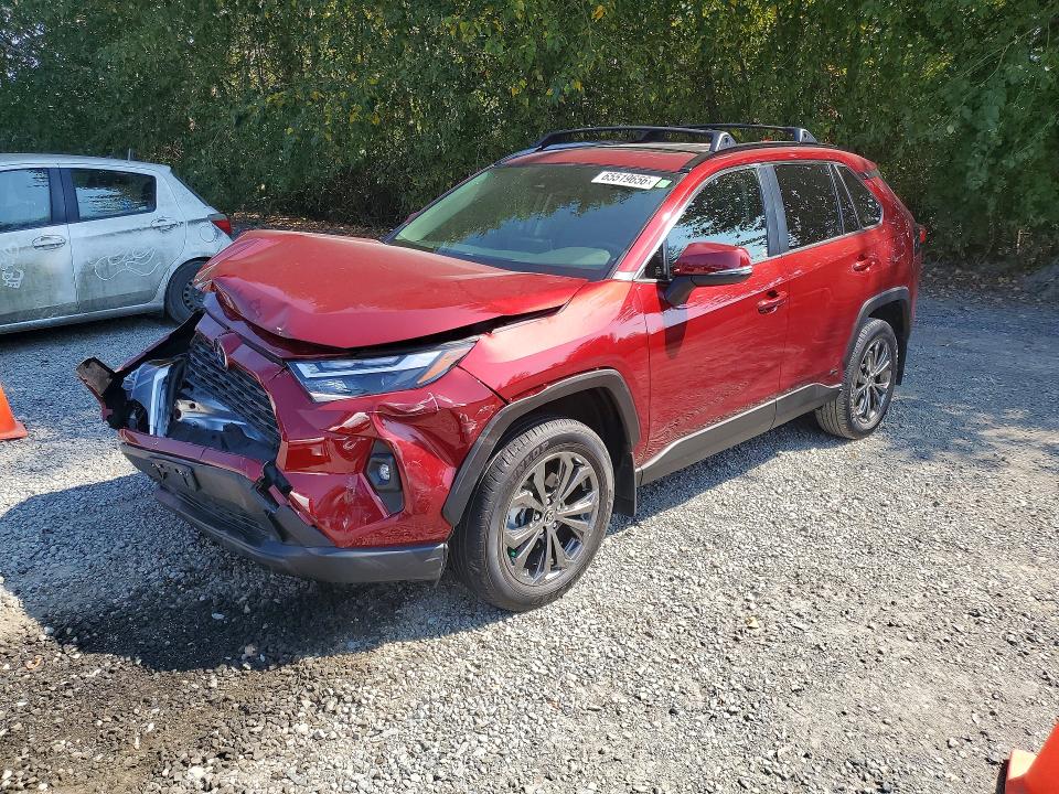 TOYOTA RAV4 2025 with VIN JTMB6RFV0SD164102 - Photo from auction