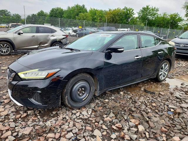 NISSAN MAXIMA 2019 with VIN 1N4AA6AV8KC377858 - Photo from auction