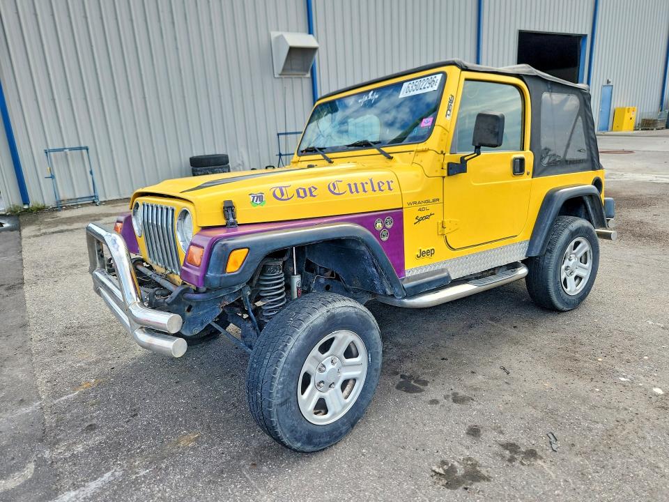 JEEP WRANGLER / TJ 2001 with VIN 1J4FA49S51P361665 - Photo from auction