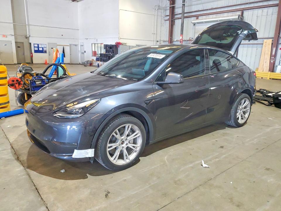 TESLA MODEL Y 2024 with VIN 7SAYGDEE3RA232861 - Photo from auction