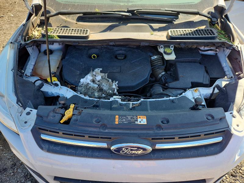 Photo 12 from auction – 2014 FORD ESCAPE with VIN 1FMCU9G92EUD36884