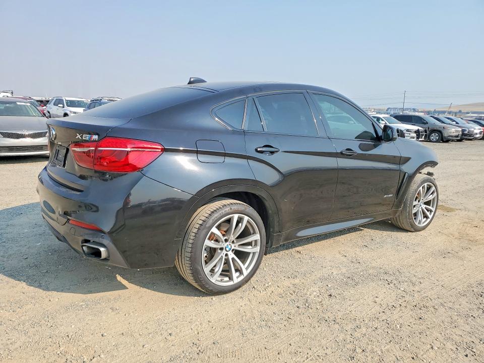 Photo 3 from auction – 2017 BMW X6 with VIN 5UXKU6C3XH0W38773
