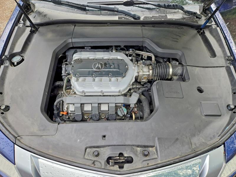 Photo 11 from auction – 2009 ACURA TL with VIN 19UUA96539A800855