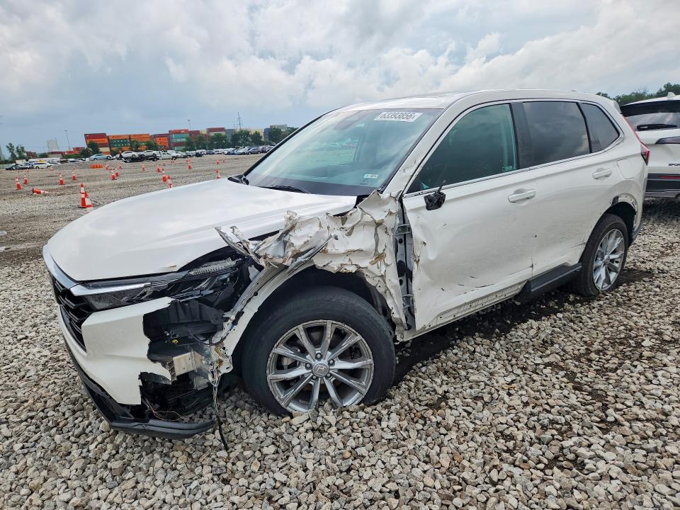 HONDA CR-V 2024 with VIN 5J6RS4H77RL016342 - Photo from auction