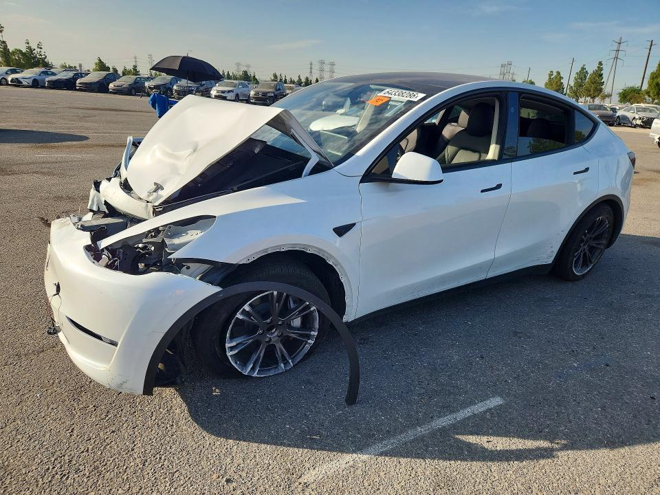 2025 TESLA MODEL Y - Търг №64338286