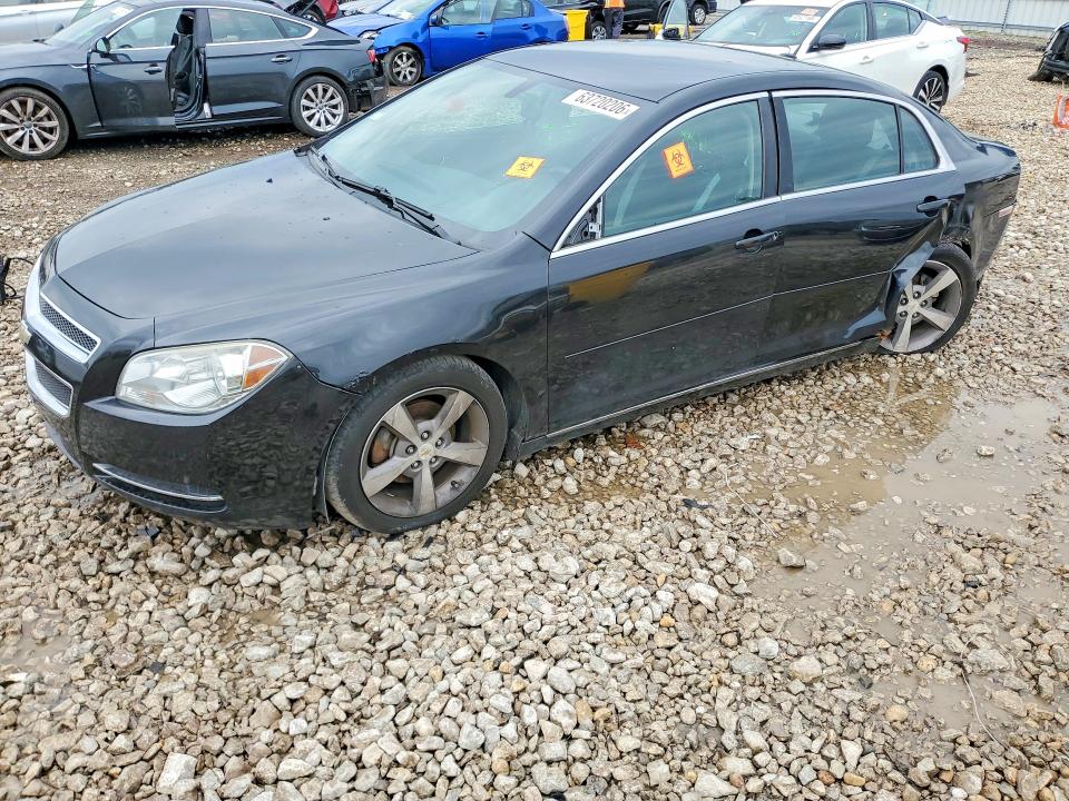 CHEVROLET MALIBU 2011 with VIN 1G1ZC5E13BF158676 - Photo from auction
