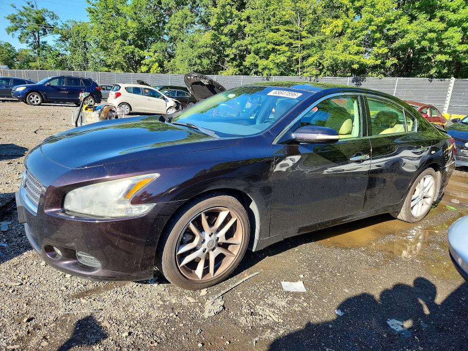 NISSAN MAXIMA 2011 with VIN 1N4AA5AP6BC841936 - Photo from auction