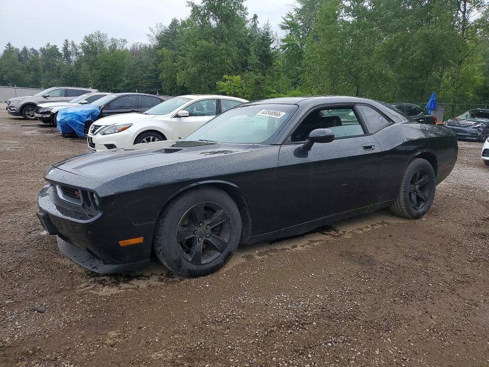 DODGE CHALLENGER 2009 with VIN 2B3LJ44V59H559982 - Photo from auction