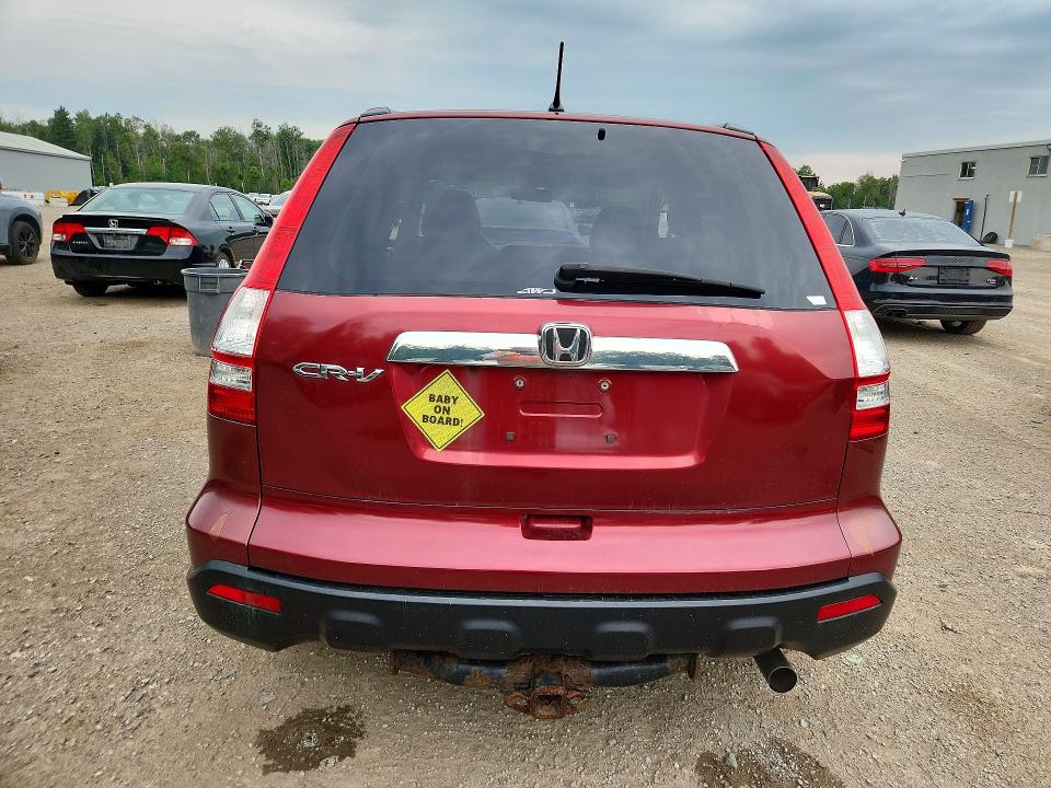 Photo 6 from auction – 2008 HONDA CR-V with VIN 5J6RE48548L820036
