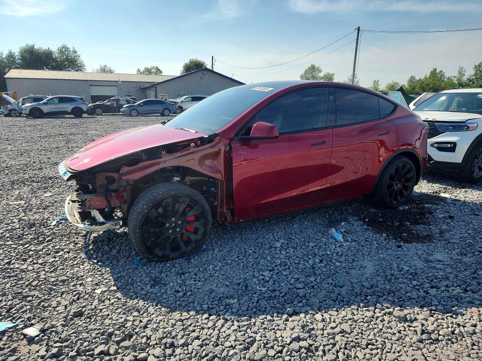 Фото 1 с аукциона – 2025 TESLA MODEL Y с VIN 7SAYGDEE4SF264047