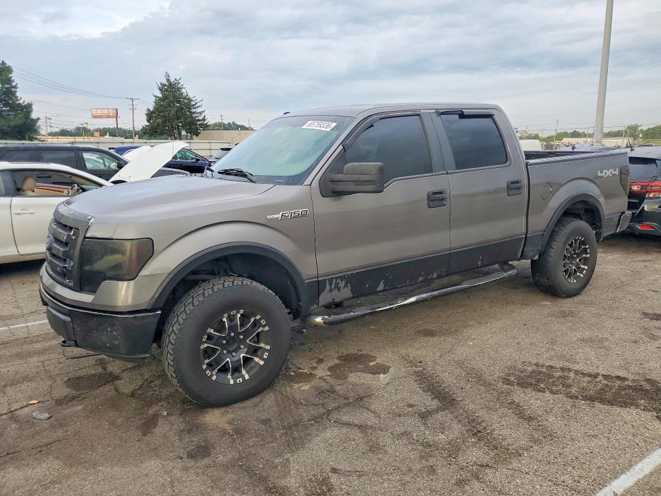 FORD F150 2010 with VIN 1FTFW1EV6AFA19251 - Photo from auction