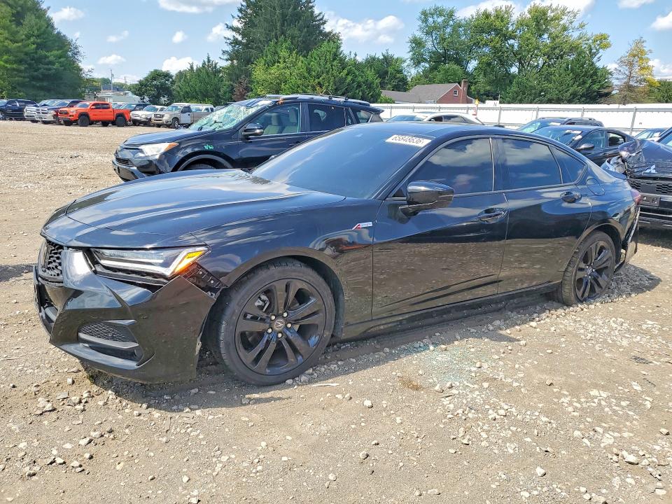 ACURA TLX 2021 with VIN 19UUB6F56MA007134 - Photo from auction
